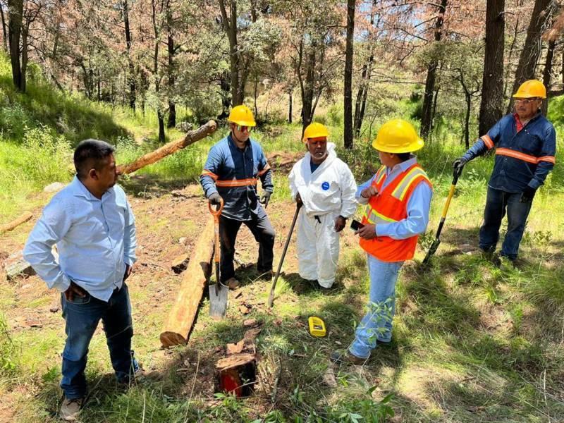 Confirma SMA pago a brigadas comunitarias por saneamiento forestal a La Malinche 