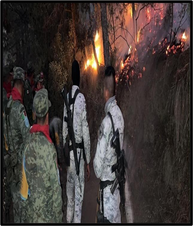 Autoridades combaten incendio forestal en Tlaxco