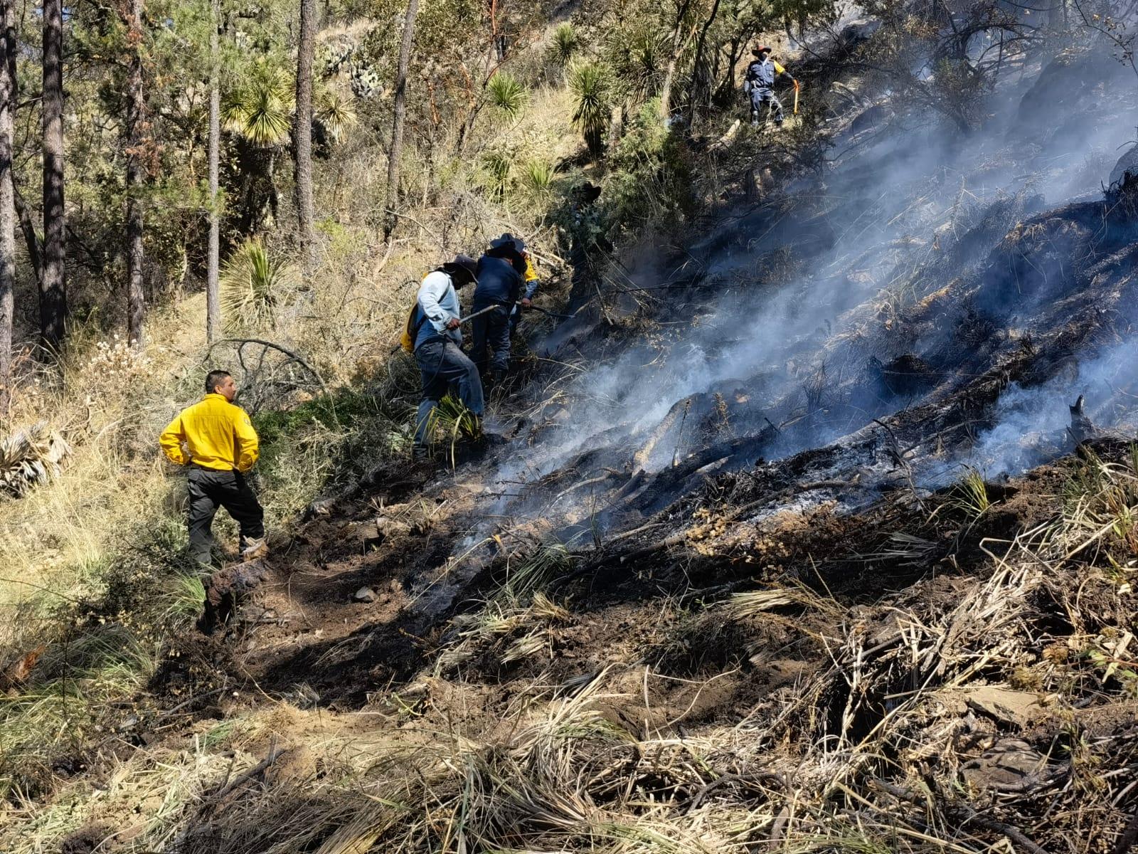 Incendio forestal en Tlaxco, controlado en un 85 por ciento: SMA