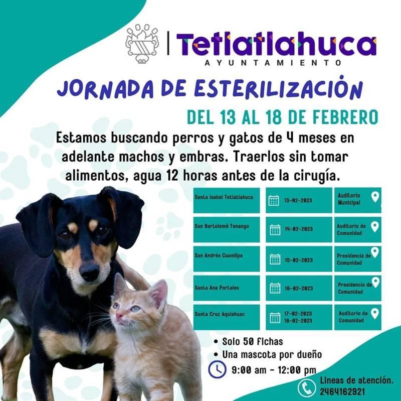Anuncian campaña de esterilización de perros y gatos en Tetlatlahuca