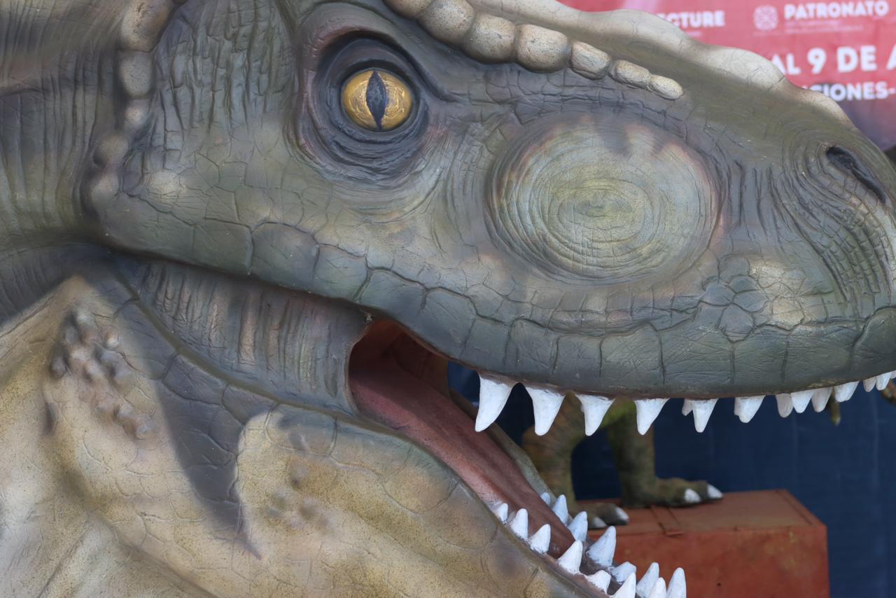 Llegará museo itinerante “Tierra de dinosaurios” a Tlaxcala 