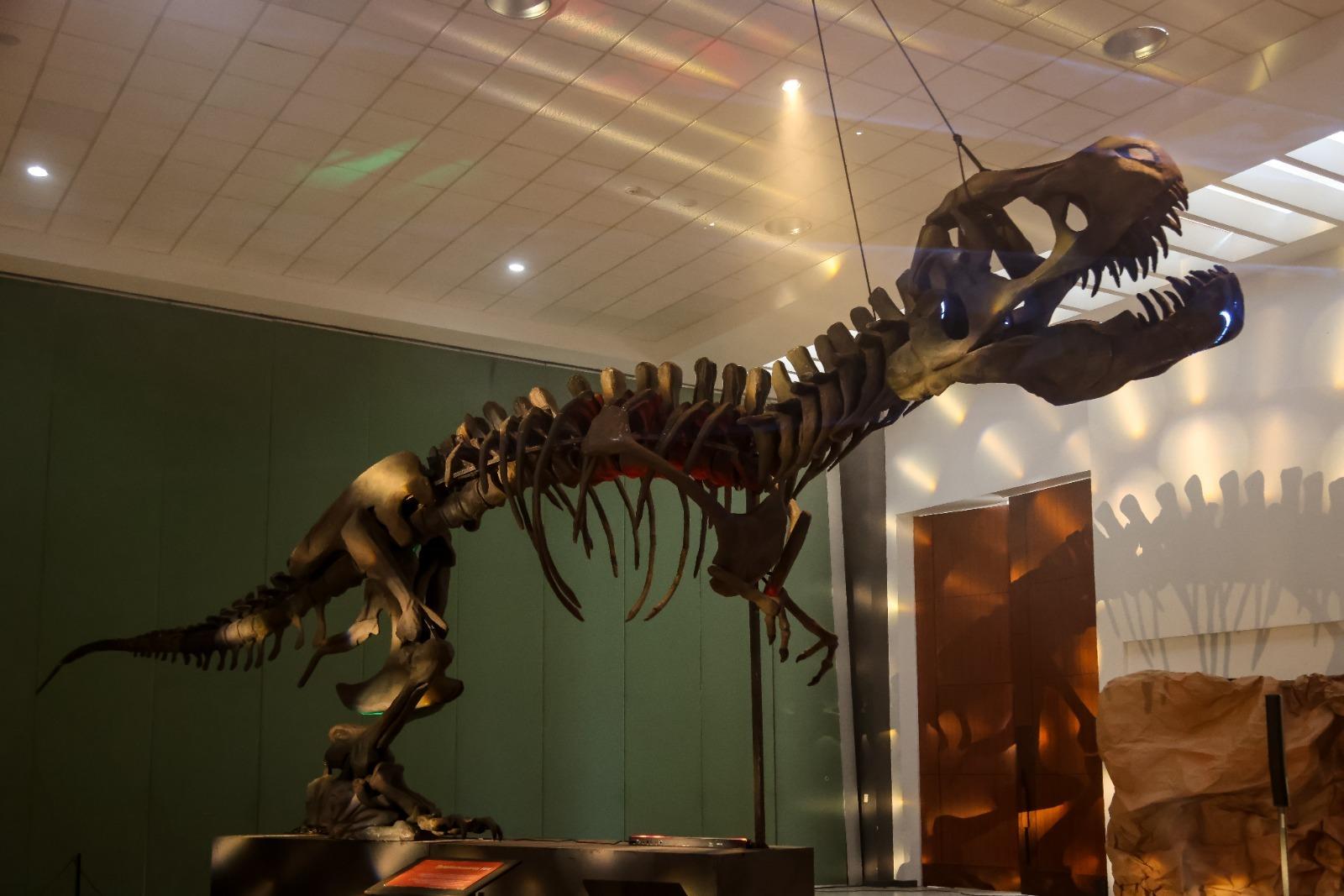 Inaugura gobierno del estado museo itinerante "Tierra de Dinosaurios"