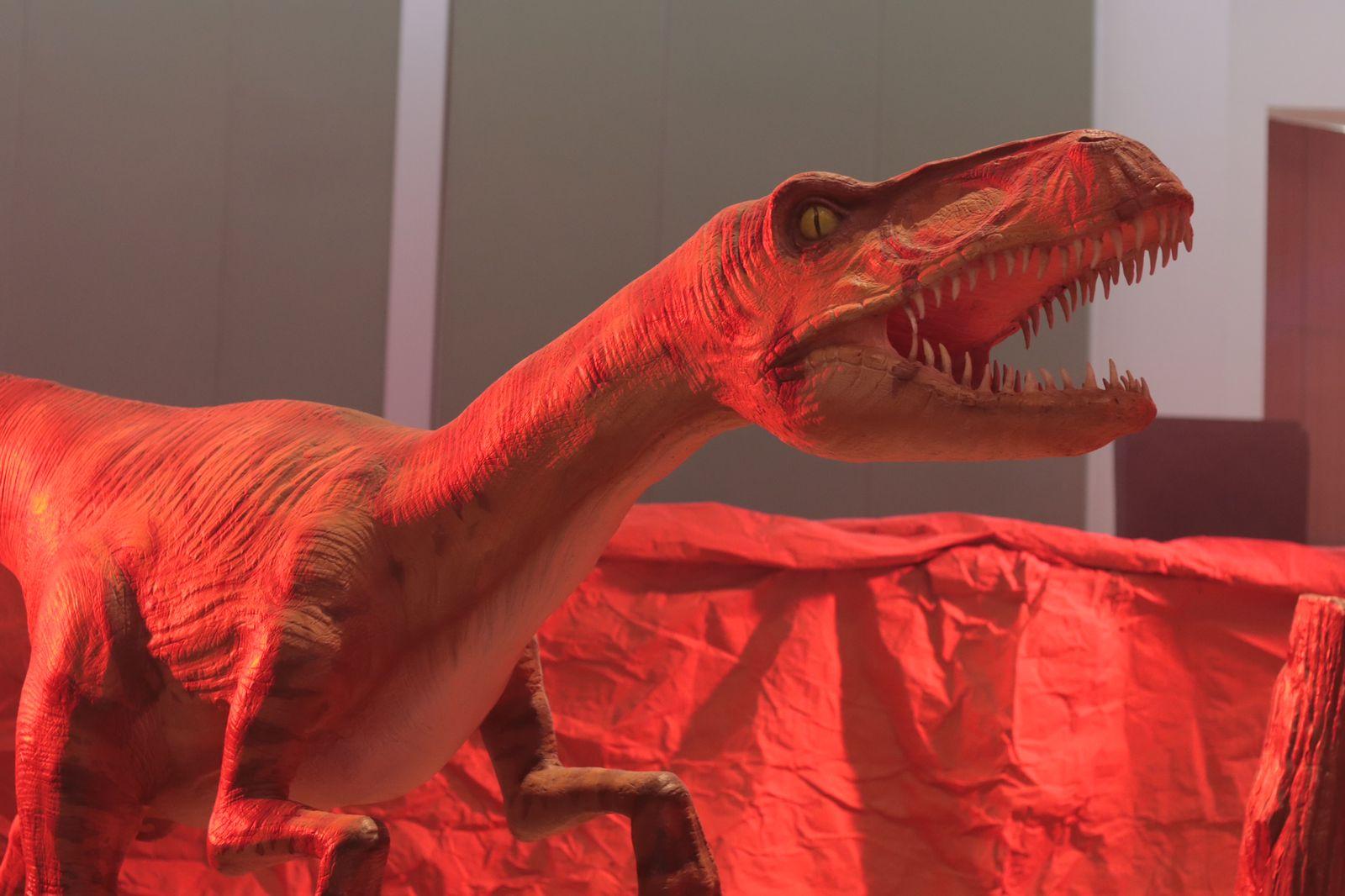 Llega museo itinerante "Tierra de Dinosaurios a Tlaxcala "