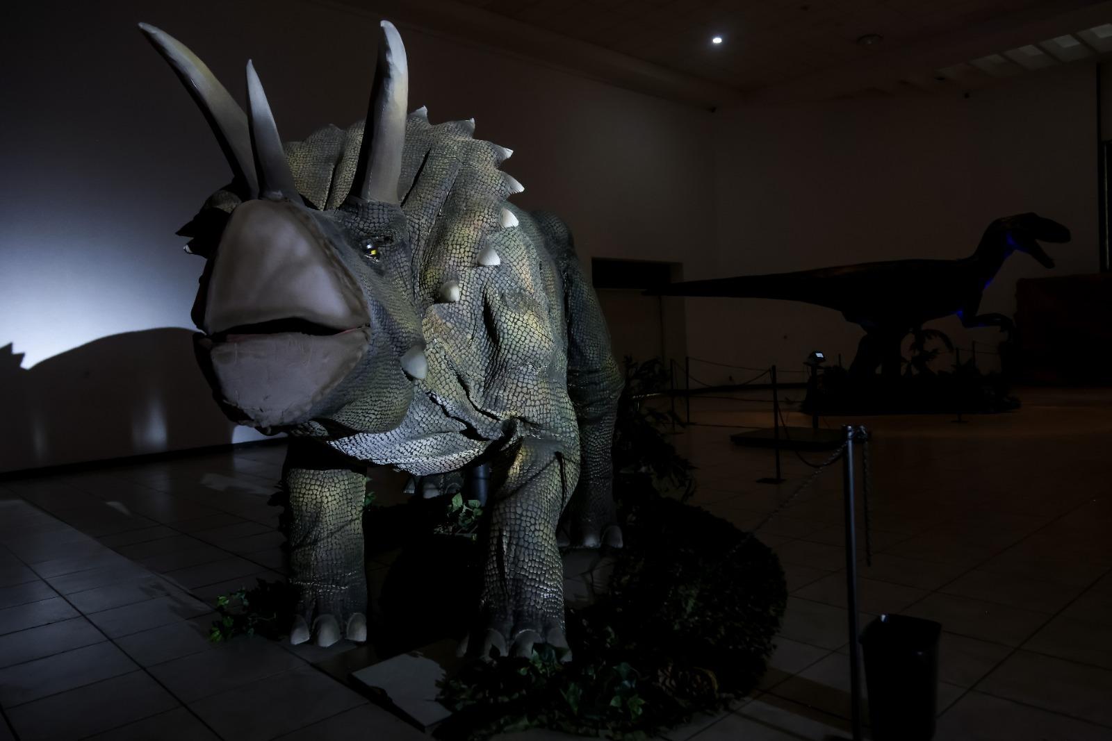 Inaugura gobierno del estado museo itinerante "Tierra de Dinosaurios"