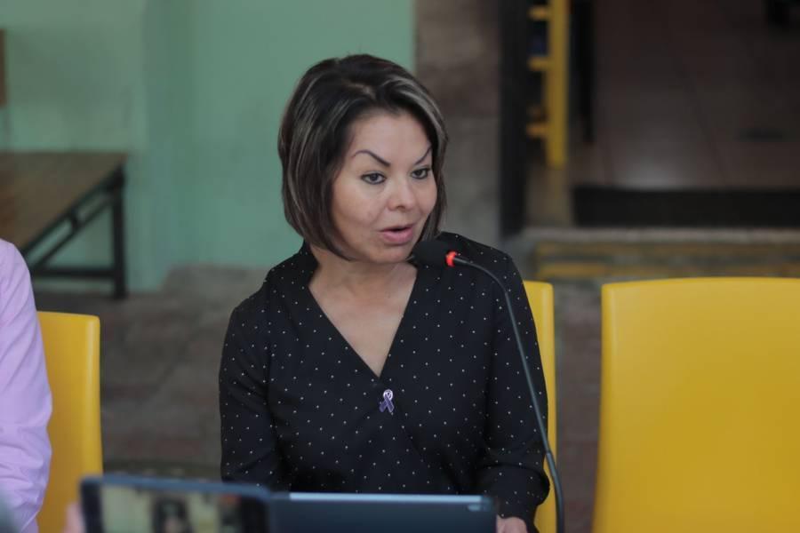 La violencia contra la mujer no se va a erradicar decorando espacios públicos: Minerva Hernández 