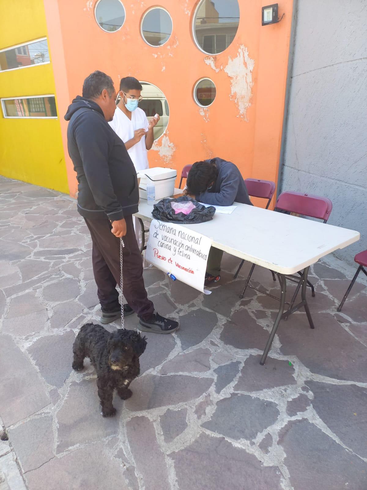 Anuncian jornada de vacunación antirrábica en todo el municipio de Apetatitlán