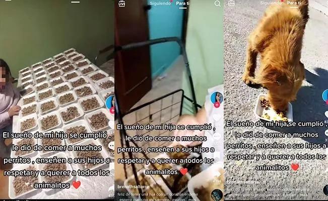 Noble gesto de una pequeña se hace viral al preparar comida para perros callejeros