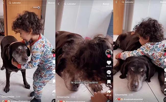 En redes sociales se vuelve viral un niño al pedir que a las mascotas no se les pega