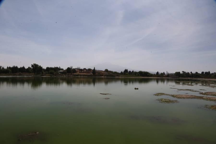 Se seca la laguna de Acuitlapilco 