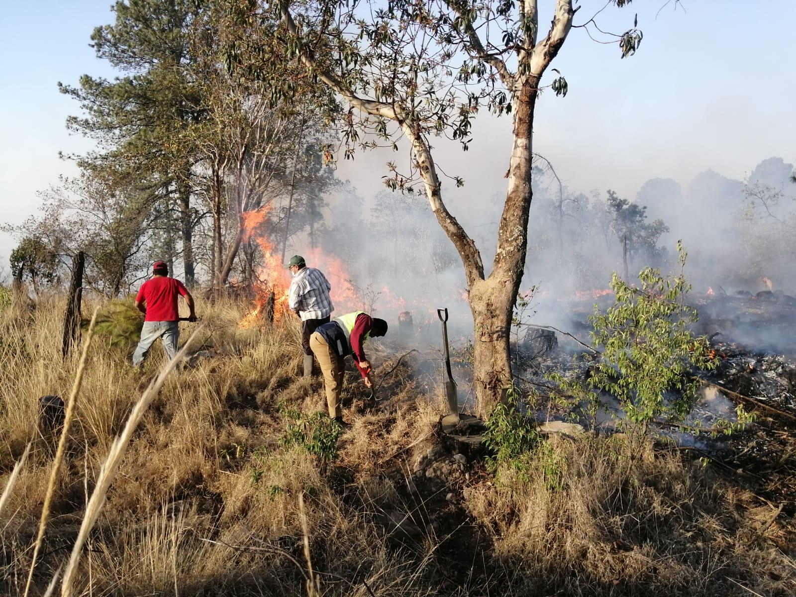 Autoridades estatales y federales combaten incendio forestal en La Malinche