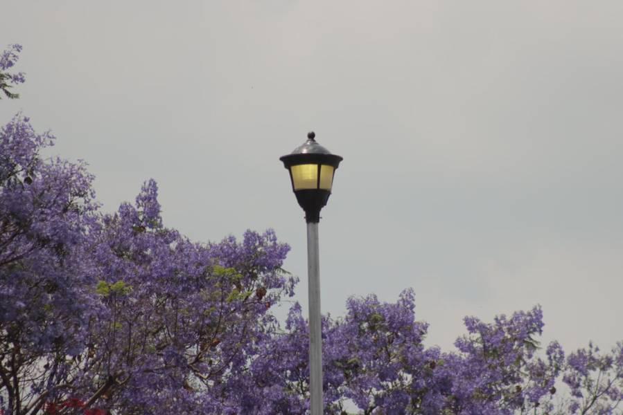 Continúa el remplazo de lámparas del alumbrado público en la capital 