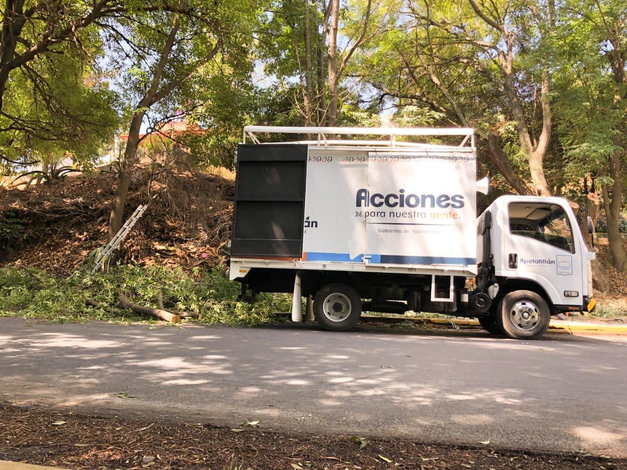 Gobierno de Apetatitlán realiza labores de limpia y poda de árboles en beneficio de la sociedad 