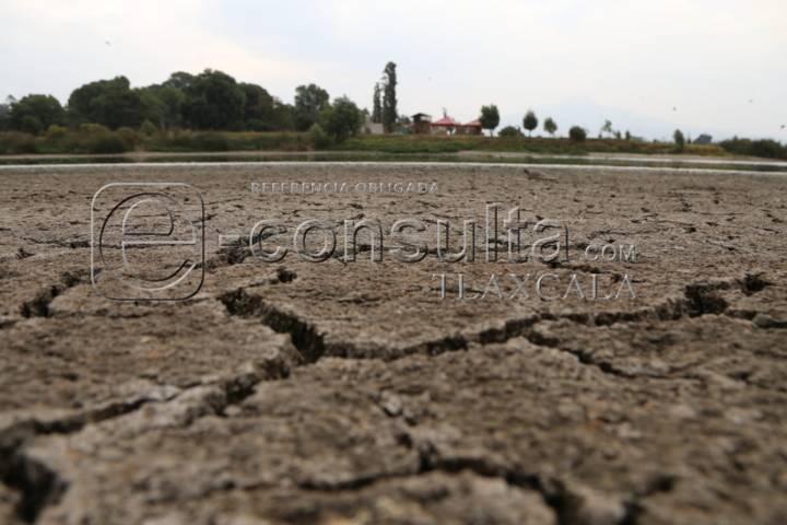 Continúa sequía de laguna de Acuitlapilco