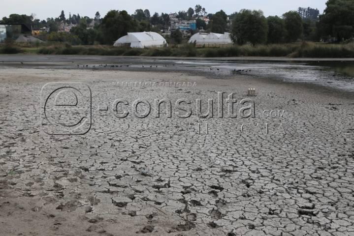 Continúa sequía de laguna de Acuitlapilco