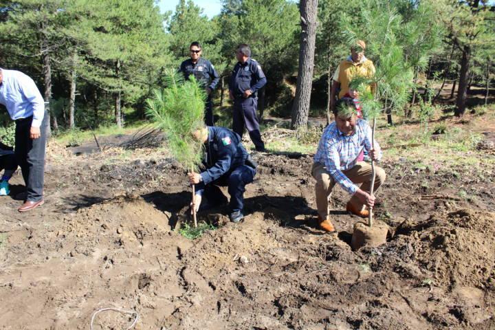 Cano Coyotl encabeza campaña de reforestación de 900 arboles