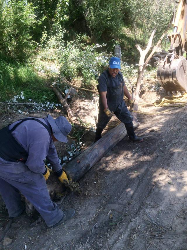 En Texoloc, limpian 300 m de carril cerca del Río Totolac II y retiran 2 árboles caídos de su cauce