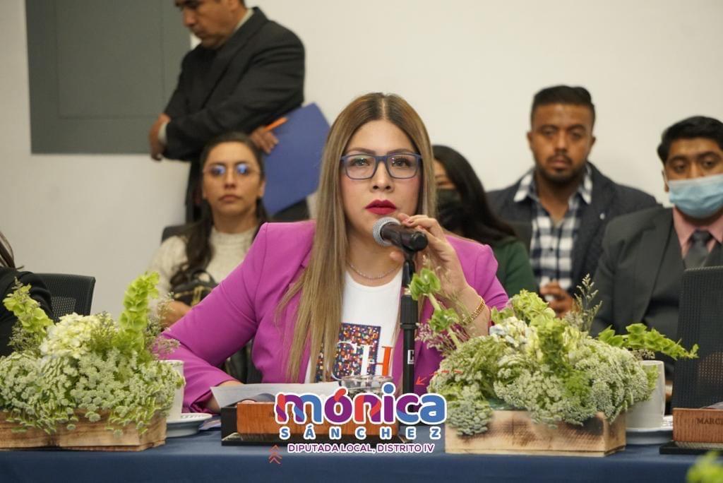 Mónica Sánchez pide garantizar atención en materia de violencia de género