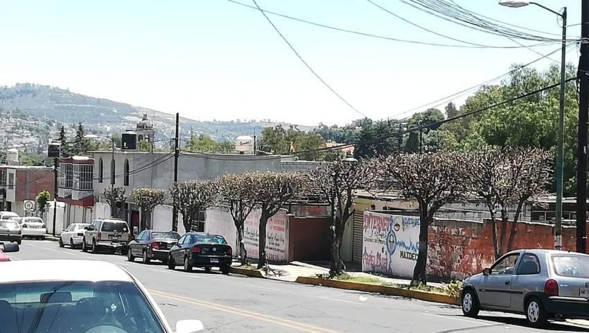 Realiza ayuntamiento de Tlaxcala poda de árboles en avenida Independencia
