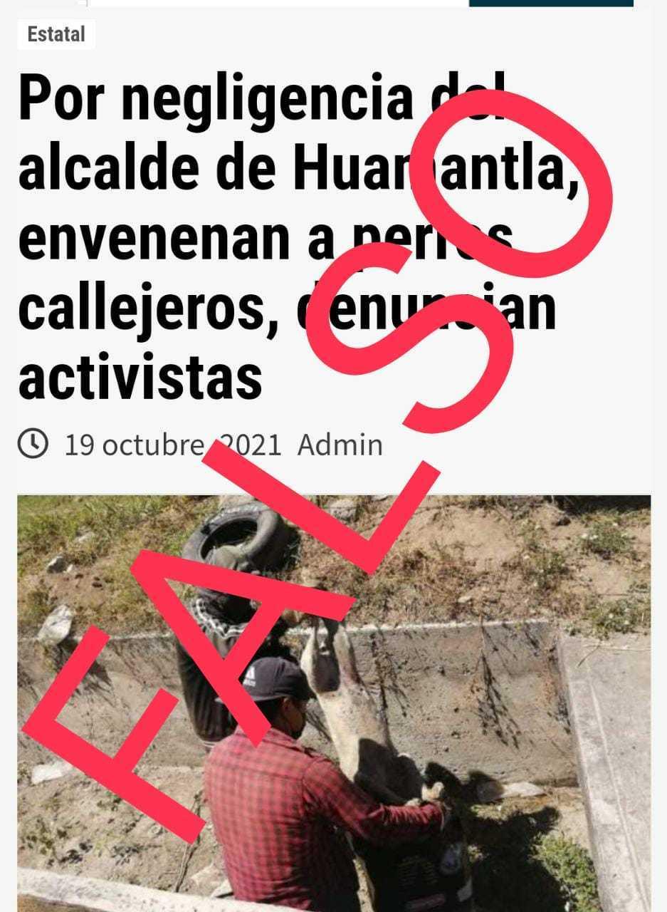 Falso que el Gobierno de Huamantla autorice envenenamiento de perros callejeros