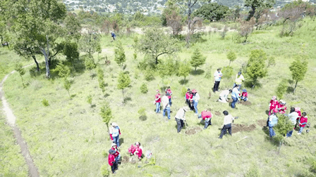 Reforestan el cerro de San Andrés en Tzompantepec