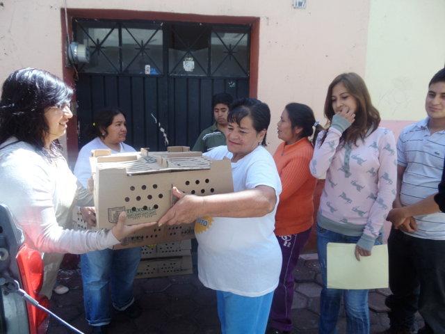 Sindico de Chiautempan entrega más de 120 paquetes de aves de traspatio