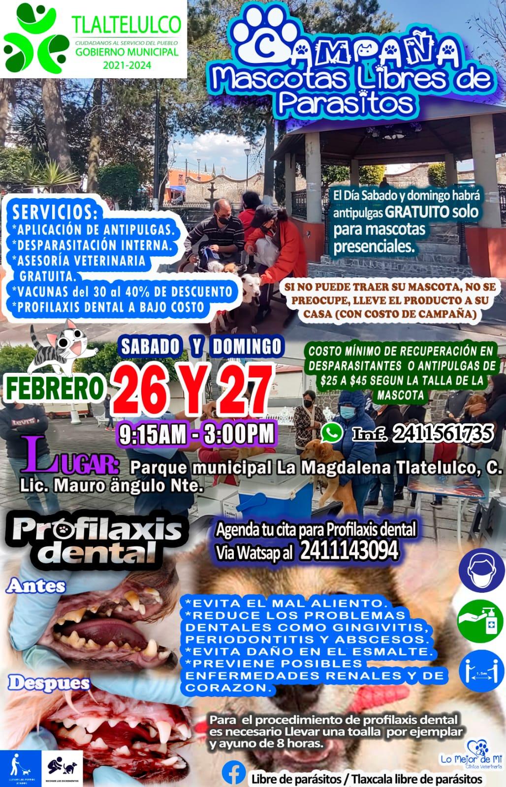 Realizarán campaña Mascotas Libres de Parásitos en Tlaltelulco