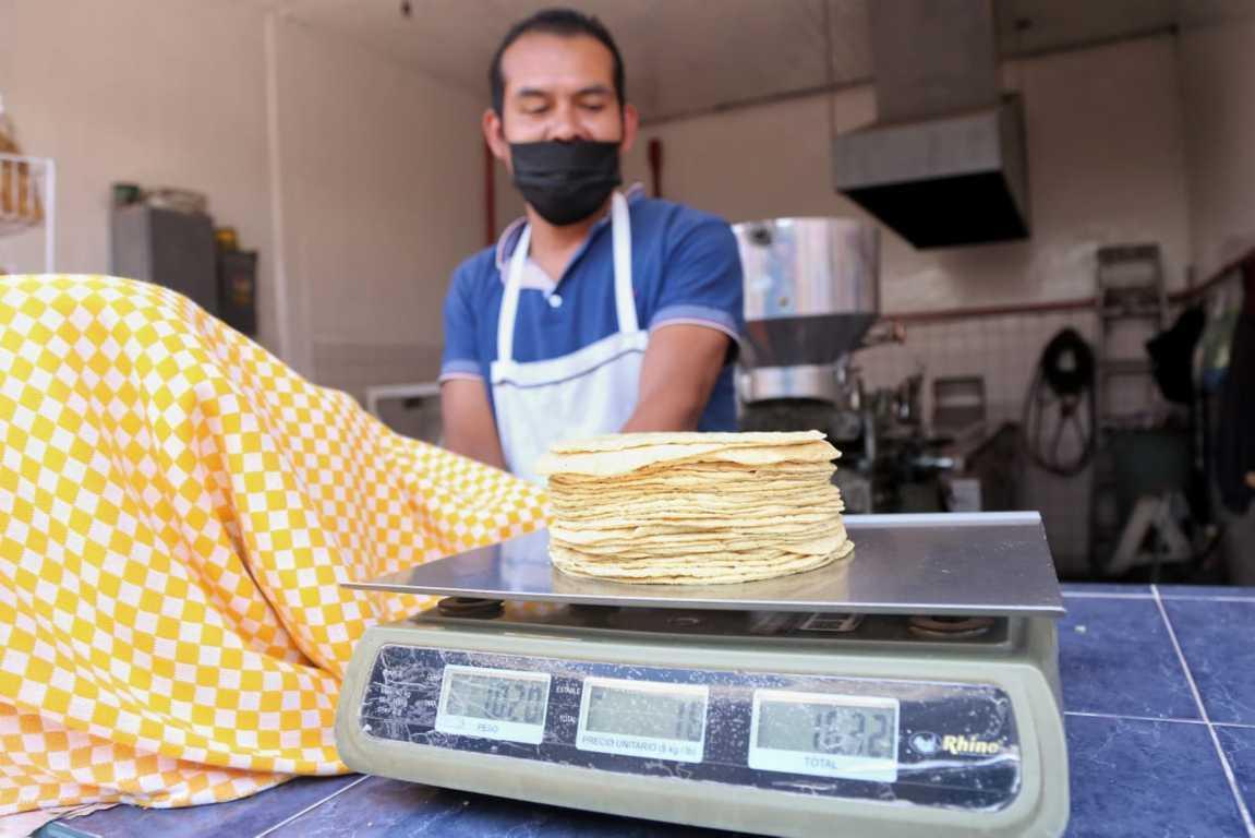 Estable precio de la tortilla en Tlaxcala