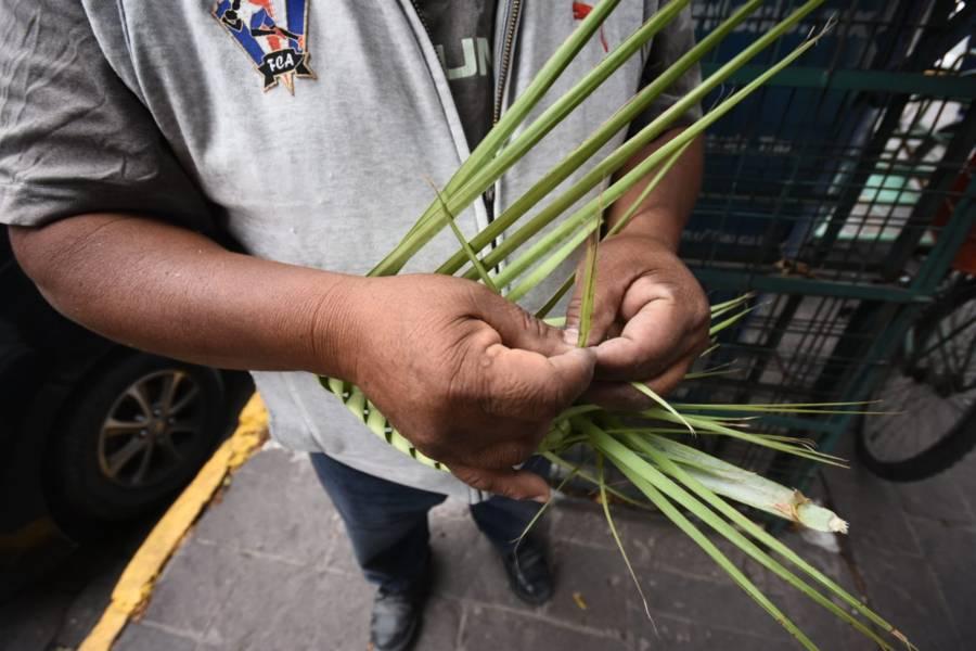 Baja venta de palmeras para Domingo de Ramos