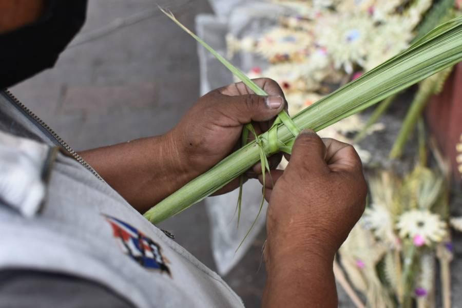 Baja venta de palmeras para Domingo de Ramos