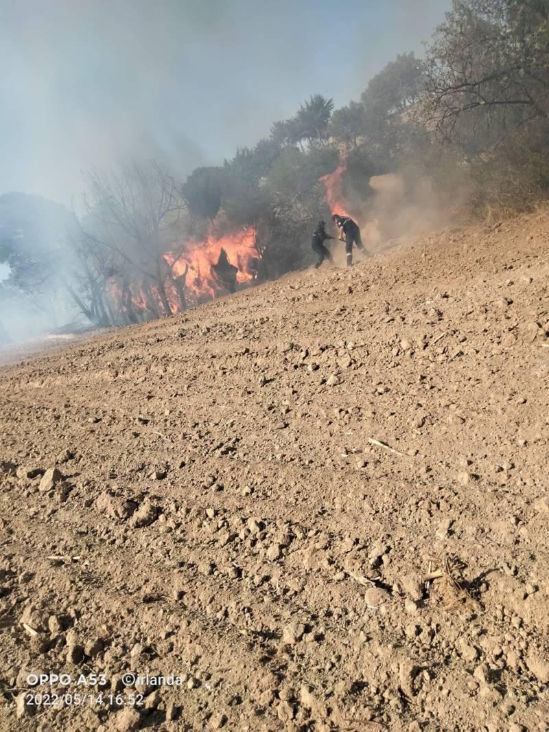 Atiende Protección Civil de Huamantla incendio en Tecoac