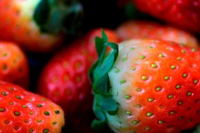 Científicos aseguran que las fresas son las principales portadoras del virus de la hepatitis 