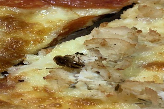 Cliente de pizza Domino´s gana likes al encontrar una cucaracha en su comida 