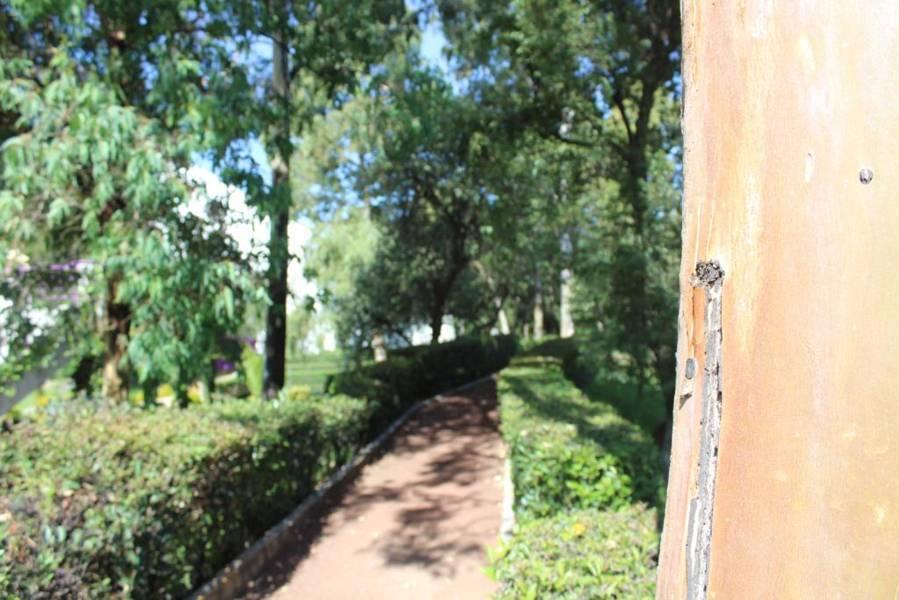 Conoce el Jardín Botánico en Tlaxcala 