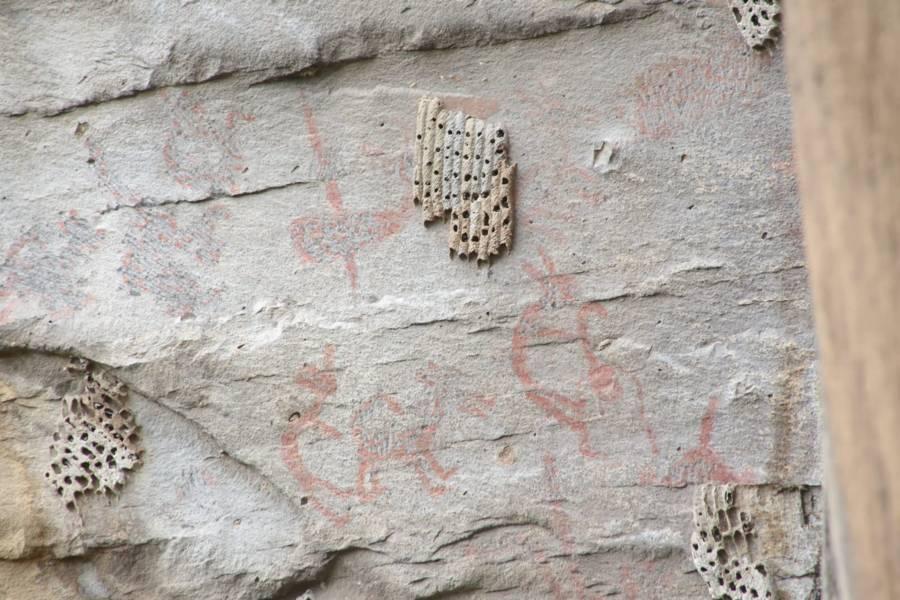 ¿Las conocías? | Abandonadas las pinturas rupestres de Atlihuetzia