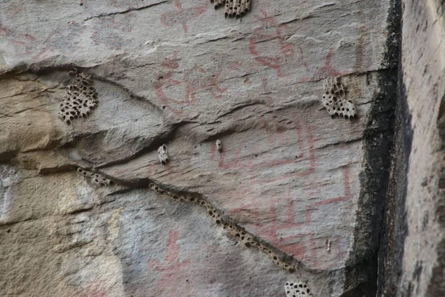 ¿Las conocías? | Abandonadas las pinturas rupestres de Atlihuetzia