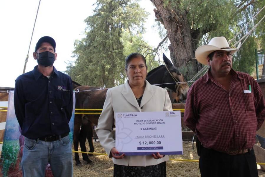 Lorena Cuéllar realiza la entrega de apoyos para el sector ganadero