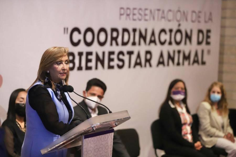 Presidió gobernadora presentación de la coordinación de Bienestar Animal 