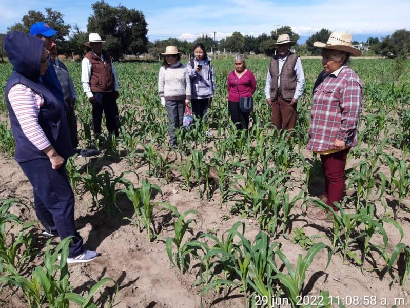 Impulsa SIA plan de manejo orgánico en 6 mil hectáreas del campo tlaxcalteca