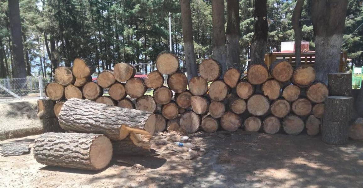 SMA y SSC resguardan recurso forestal maderable en La Malinche 