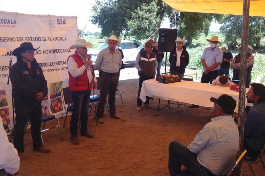 Atiende SIA A 199 productores de durazno en 16 municipios de la entidad