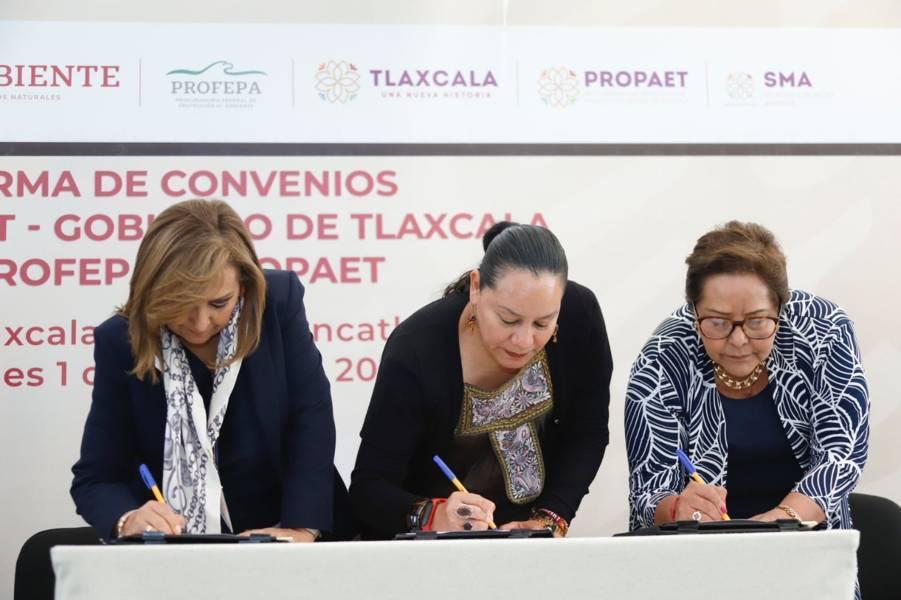 En Tlaxcala acuerdan acciones para combatir la tala clandestina