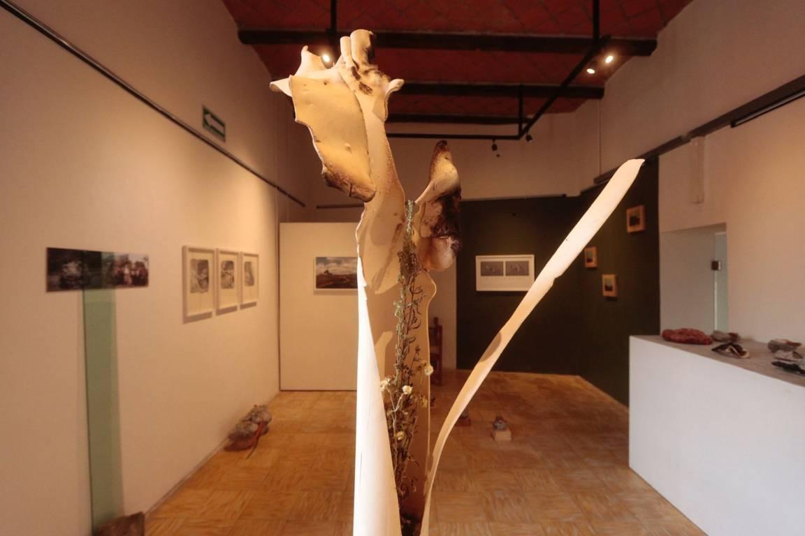 Se presenta la exposición “Habitar Metamórfico” del artista visual, Rodolfo Suárez Montesinos 