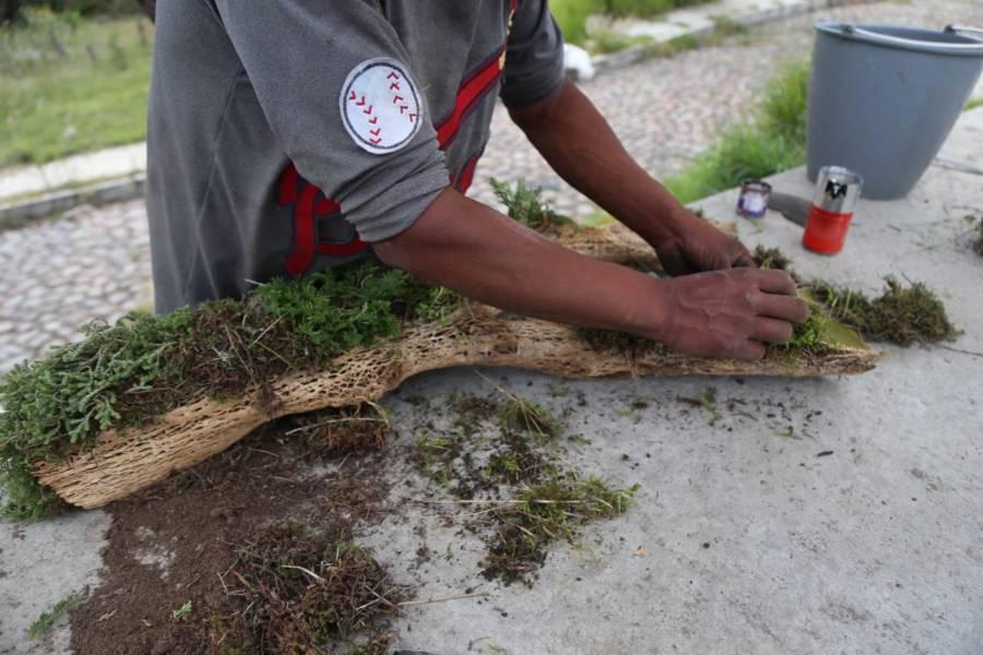Trabajo diario: Tlaxcalteca se gana la vida con arreglos de plantas
