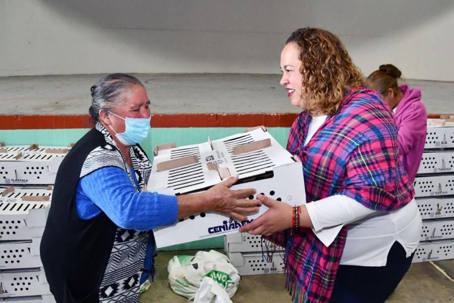 Se benefician más de 180 familias con la entrega de paquetes de aves de traspatio en Huamantla