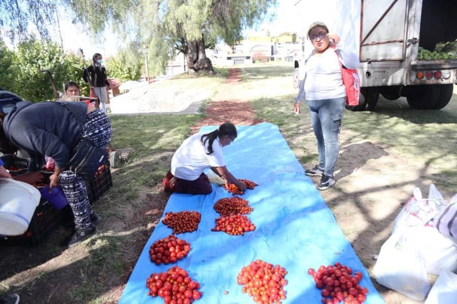 Bancos de alimentos "Caritas Puebla", una segunda oportunidad 