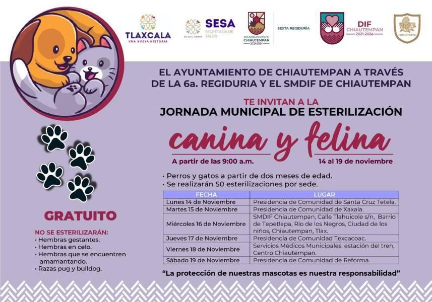 En Chiautempan, "Campaña de esterilización Canina y Felina"