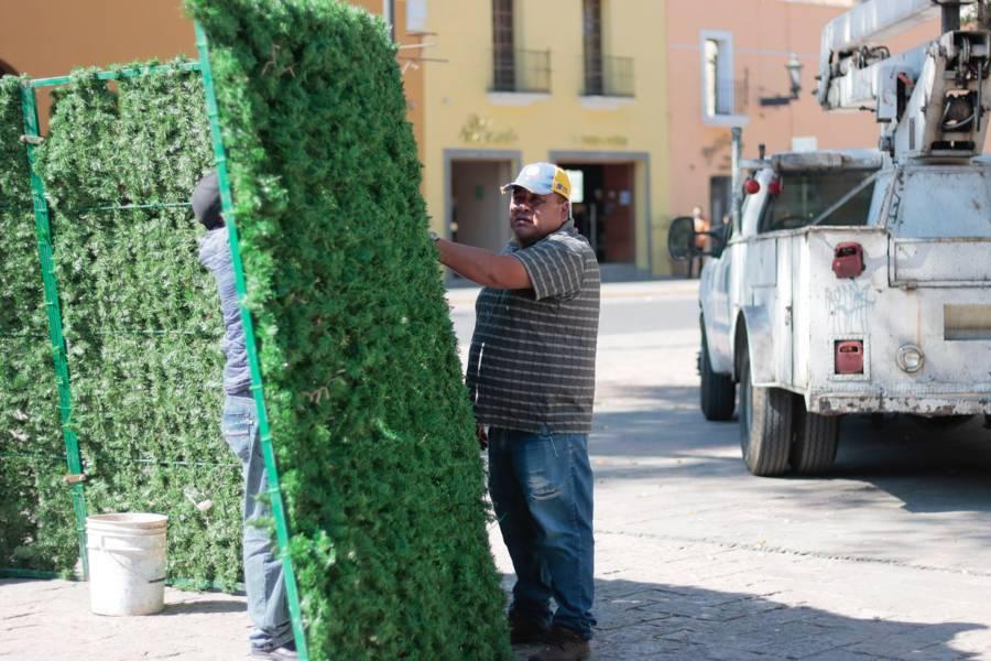 Ayuntamiento capitalino inicia montaje del árbol navideño