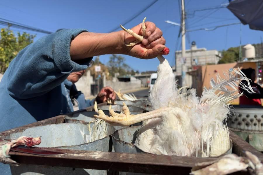 Familia Hernández, cuatro generaciones surtiendo gallinas para los moles de Tlaxcala 