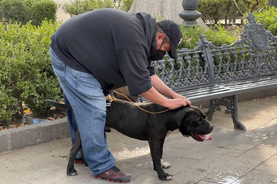 Capitalinos auxilian a perro atrapado en el parque de Tlaxcala 