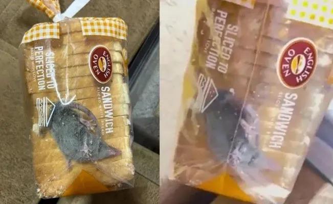 Un cliente encuentra una rata viva en una barra de pan en la India